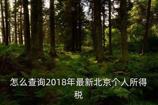 北京如何查詢個(gè)稅完稅證明，怎么查詢2018年最新北京個(gè)人所得稅