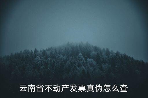 不動(dòng)產(chǎn)統(tǒng)一發(fā)票如何查詢真?zhèn)?，銷售不動(dòng)產(chǎn)統(tǒng)一發(fā)票真假怎么辨別