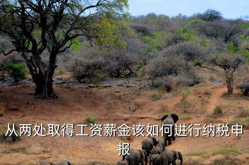 多出取得工資 如何申報(bào)個(gè)稅，個(gè)人多處取得所得如何申報(bào)繳納個(gè)稅