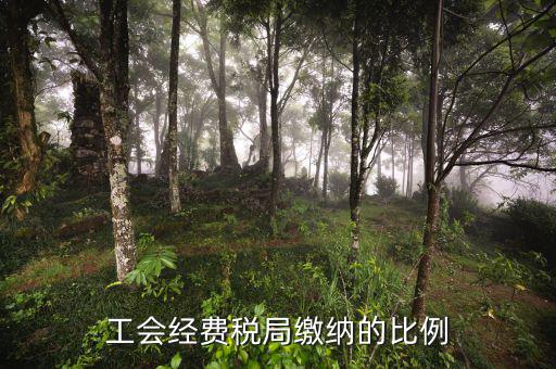 稅局代收的工會經(jīng)費應(yīng)如何交納，稅務(wù)局代收的工會經(jīng)費怎么交