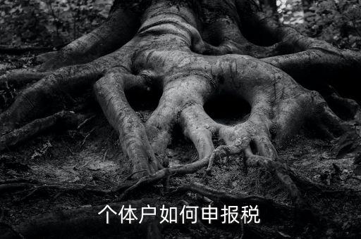 個體工商戶稅如何申報，個體工商戶個稅怎么報