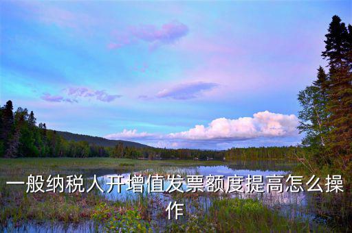 如何提高開票限額申請，一般納稅人開增值發(fā)票額度提高怎么操作
