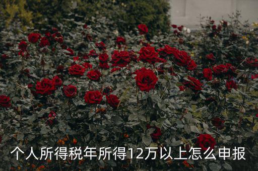 陜西地稅 12萬(wàn)以上如何申報(bào)，個(gè)人所得稅年所得12萬(wàn)以上怎么申報(bào)