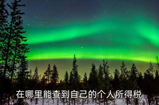 稅務(wù)如何查個(gè)稅，個(gè)稅怎么查