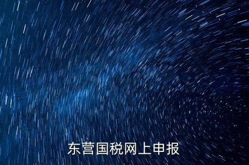 東營國稅如何網(wǎng)上申報，東營國稅網(wǎng)上申報