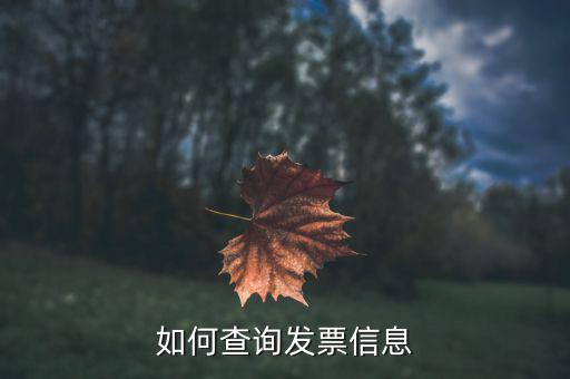 開票系統(tǒng)如何查詢票種，如何從金稅盤中看出公司票種