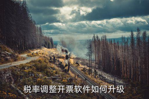 成品油企業(yè)開(kāi)票系統(tǒng)如何升級(jí)，開(kāi)票系統(tǒng)升級(jí)的步驟