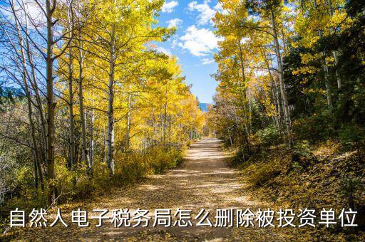 電子稅務(wù)局如何刪除不管的企業(yè)，電子稅務(wù)局網(wǎng)頁怎么清除企業(yè)稅號記錄