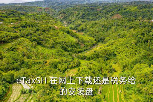 eTaxSH 在網(wǎng)上下載還是稅務給的安裝盤