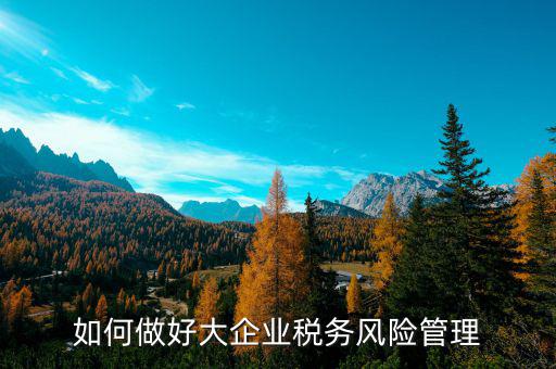如何加強對重點企業(yè)的稅務管理，加強大企業(yè)的稅收管理有何良策