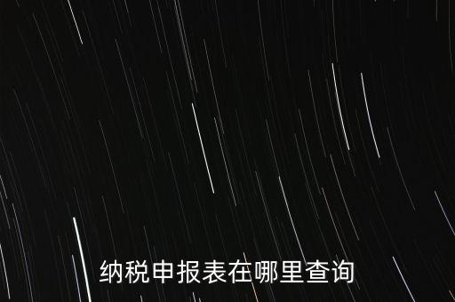 納稅申報(bào)表在哪里查詢(xún)