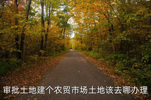 農(nóng)貿(mào)市場土地如何取得，審批土地建個農(nóng)貿(mào)市場土地該去哪辦理