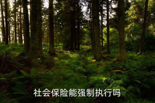 社會(huì)保險(xiǎn)費(fèi)如何執(zhí)行，社會(huì)保險(xiǎn)能強(qiáng)制執(zhí)行嗎