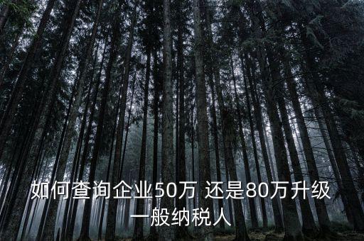 如何查詢(xún)企業(yè)50萬(wàn) 還是80萬(wàn)升級(jí)一般納稅人