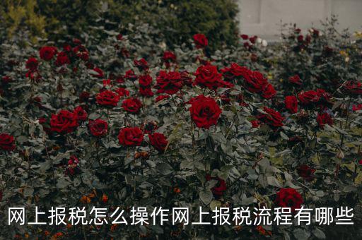 江蘇省網(wǎng)上稅務(wù)局如何報稅，網(wǎng)上報稅怎么操作網(wǎng)上報稅流程有哪些