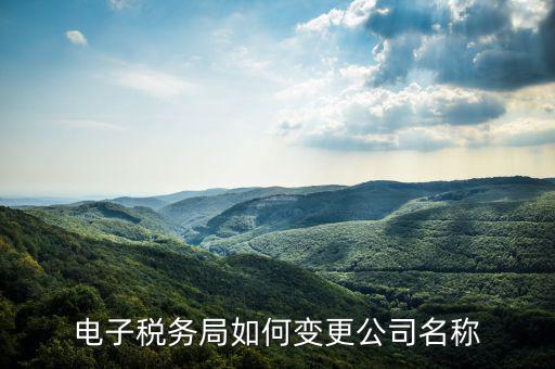 國稅系統(tǒng)如何更改公司，自然人電子稅務局怎么更換企業(yè)