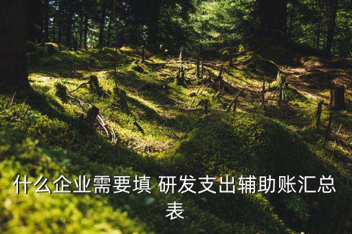 研發(fā)支出 輔助賬匯總表如何填寫，什么企業(yè)需要填 研發(fā)支出輔助賬匯總表