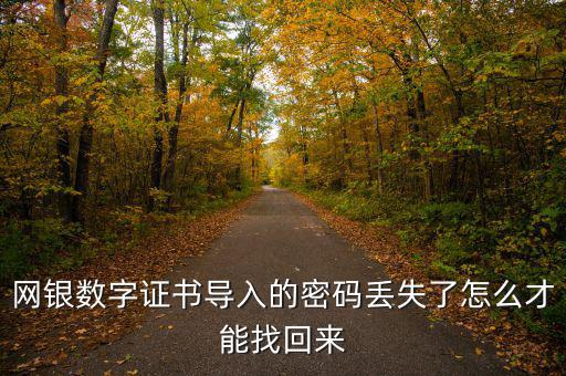 數(shù)字證書密碼錯誤如何找回，營業(yè)執(zhí)照數(shù)字證書密碼忘記了 怎么辦