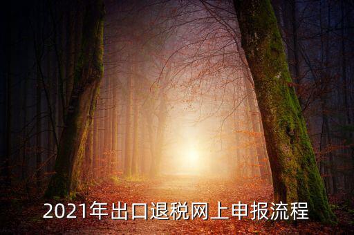 如何登錄出口退稅網(wǎng)，出口退稅申報(bào)流程操作