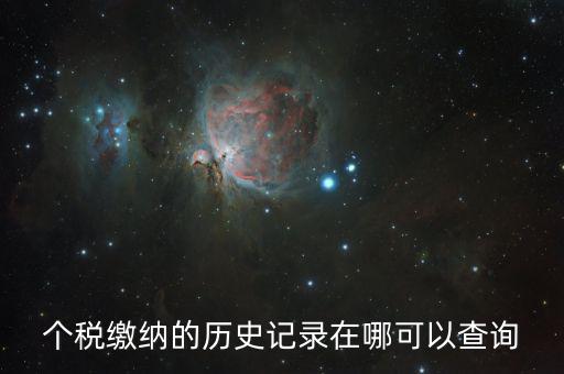 個(gè)稅繳納的歷史記錄在哪可以查詢(xún)