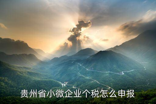 貴州個稅如何申報，國稅年報是不是在一般納稅人界面的其他稅種申報里面