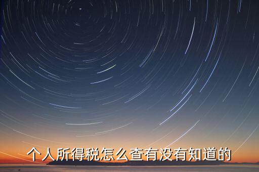張家港個人所得稅如何查詢，個人所得稅怎么查有沒有知道的