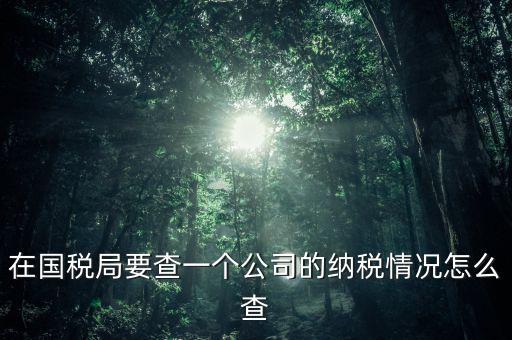 企業(yè)如何查詢納稅等級，在國稅局要查一個公司的納稅情況怎么查