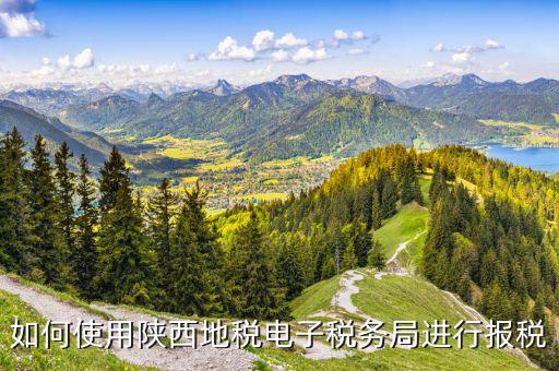 陜西地稅國(guó)稅網(wǎng)上如何申報(bào)，如何使用陜西地稅電子稅務(wù)局進(jìn)行報(bào)稅