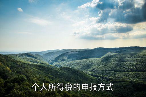 如何申請個人所得稅，個稅怎么申報