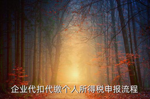網(wǎng)上如何進入代扣代繳申報，企業(yè)代扣代繳個人所得稅申報流程