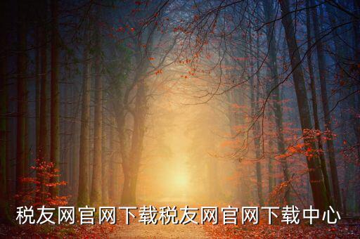 稅友如何下載，個稅在稅友網(wǎng)上下載下來了然后怎么安裝