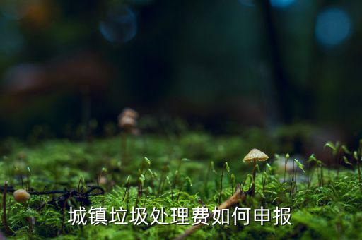 城市生活垃圾費(fèi)如何申報(bào)，城鎮(zhèn)垃圾處理費(fèi)如何申報(bào)