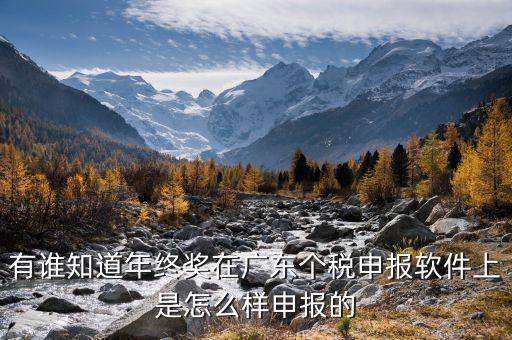 全年一次年終獎軟件如何申報，有誰知道年終獎在廣東個稅申報軟件上是怎么樣申報的