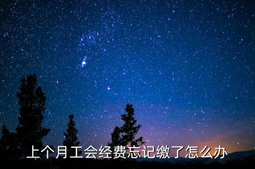 如何補繳上月工會經(jīng)費地稅，工會經(jīng)費上月已申報但未繳費本月可以補交嗎在哪里補交是在報稅系統(tǒng)