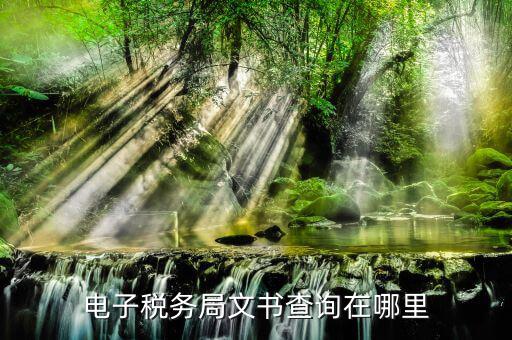 稅務(wù)局如何查詢文書，稅務(wù)事項通知書在哪里查詢