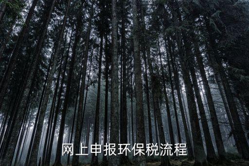 電子稅務(wù)局環(huán)保稅如何申報，2021年環(huán)保稅怎么申報