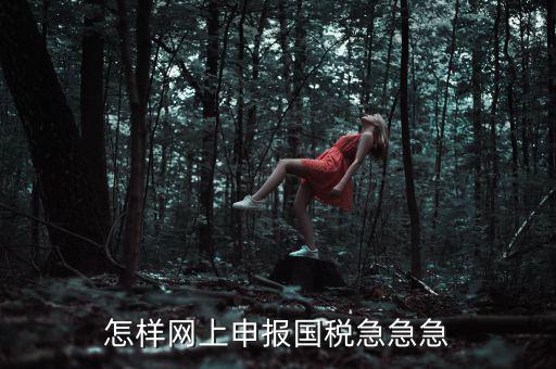 國(guó)稅網(wǎng)上稅務(wù)如何申報(bào)，怎樣網(wǎng)上申報(bào)國(guó)稅急急急