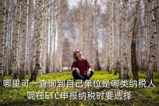 哪里可一查詢(xún)到自己?jiǎn)挝皇悄念?lèi)納稅人呢在ETC申報(bào)納稅時(shí)要選擇