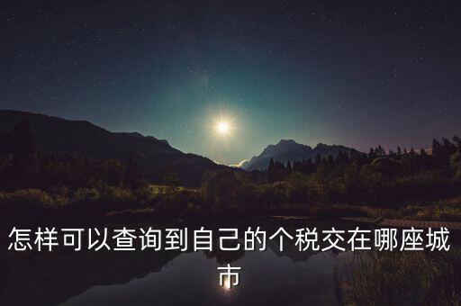 如何查詢個人所得稅所交地點，怎樣可以查詢到自己的個稅交在哪座城市