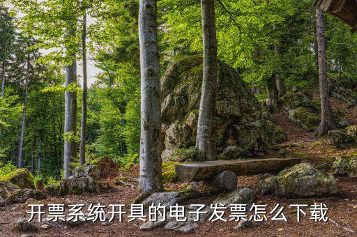 發(fā)票助手如何安裝在手機上，增值稅發(fā)票稅控開票軟件怎么安裝