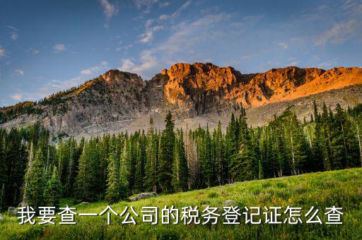 如何查詢稅務(wù)登記表，稅務(wù)登記證查詢