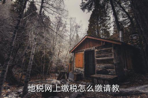 地稅如何交稅嗎，地稅網(wǎng)上繳稅怎么繳請(qǐng)教