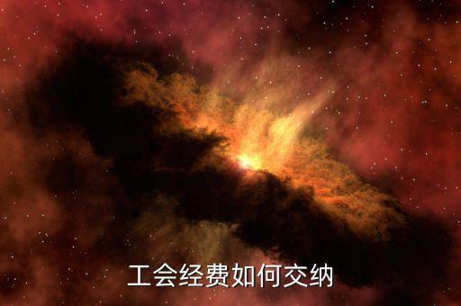 公司工會(huì)如何繳納，企業(yè)工會(huì)會(huì)費(fèi)怎么交的
