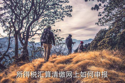 清稅申請如何在云稅廳申請，網(wǎng)上企業(yè)所得稅匯算清繳如何申報