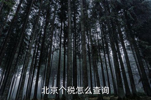 北京地稅局官網(wǎng)如何查個(gè)稅，怎么查詢最新北京個(gè)稅繳納情況
