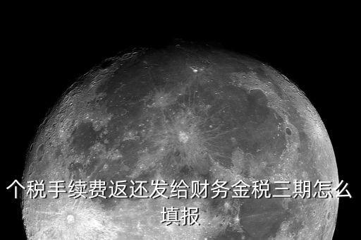 個稅手續(xù)費(fèi)返還發(fā)給財(cái)務(wù)金稅三期怎么填報(bào)