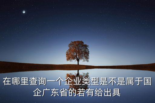單位類型如何查詢，如何查詢企業(yè)管理類別