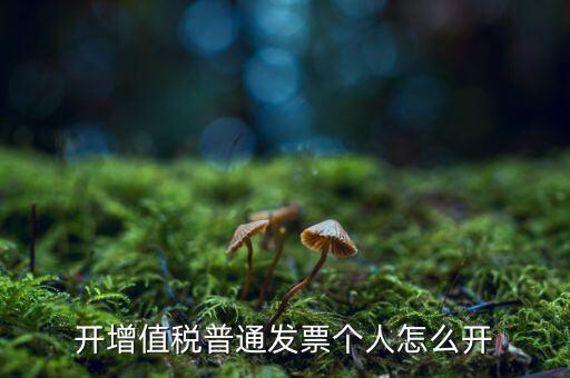 普票如何開給個人，增值稅普通發(fā)票開個人需要什么資料