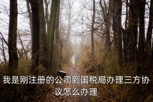 如何激活稅務(wù)三方協(xié)議，稅務(wù)三方協(xié)議怎樣激活