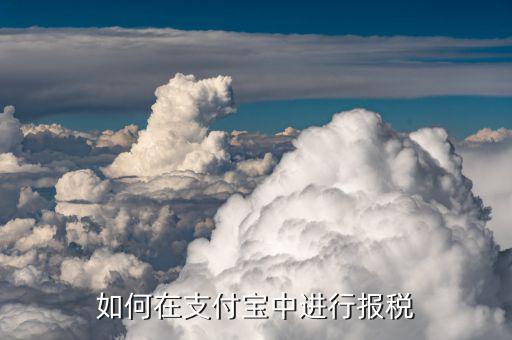 支付寶如何登錄個人辦稅大廳，在支付寶怎么查個人稅
